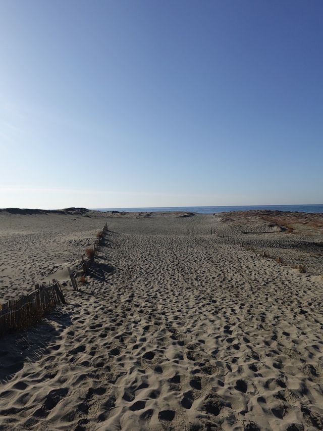 【静岡(浜松)】絶景までが大変💦でも行く価値はある！日本三大砂丘の一つ、中田島砂丘