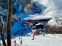 เที่ยวหิมะGozaisho Ropeway จ.มิเอะ