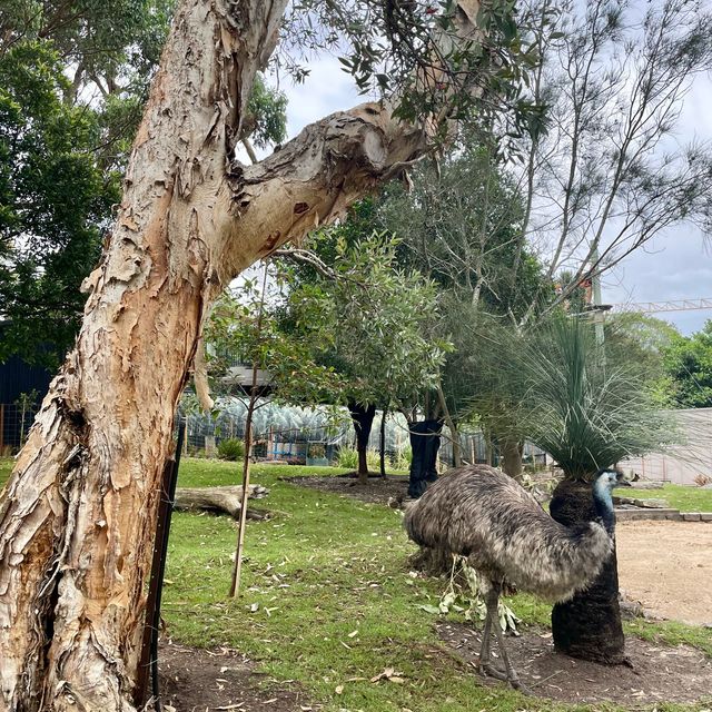 Huge Zoo in Sydney, Australia