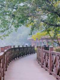 2024：湖光山色中的寧靜時光，再訪四川古宇湖