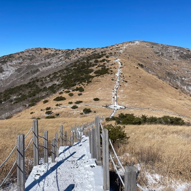 영남알프스 8봉 신불산 영축산 최단코스, 눈 산행