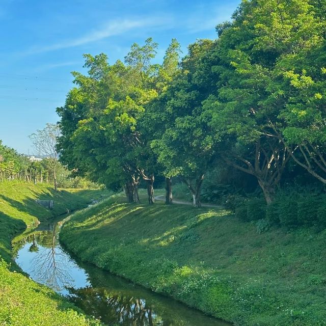 綠水漫遊😌西塘公園