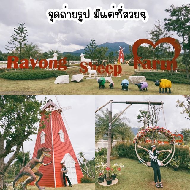 #แลนด์มาร์คระยอง #ที่เที่ยวระยอง #ปางช้างระยอง