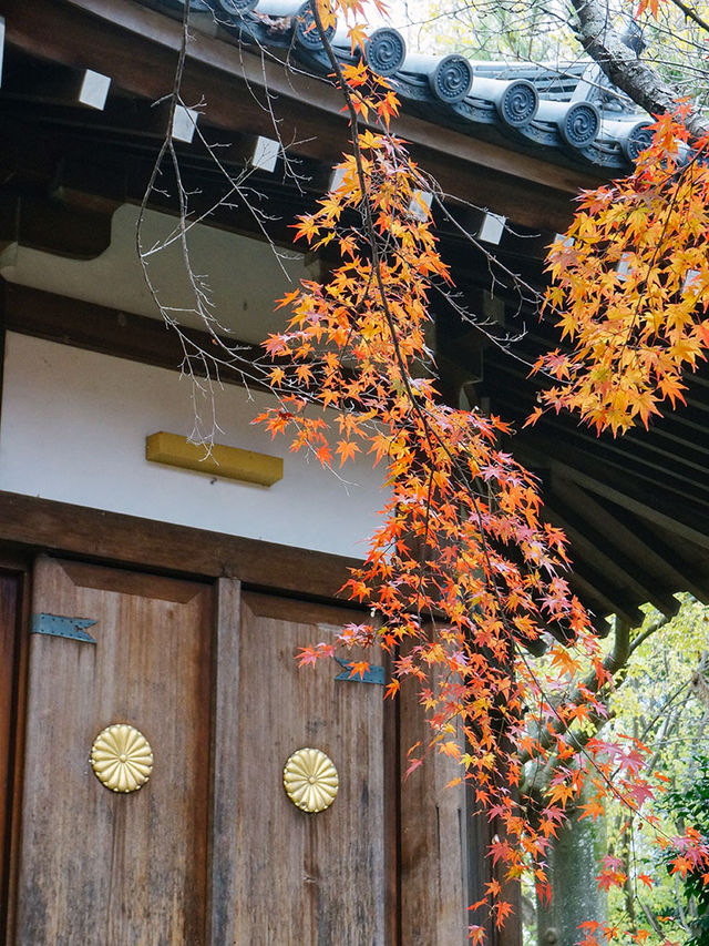 京都景點｜嵐山免費的賞楓地——清涼寺