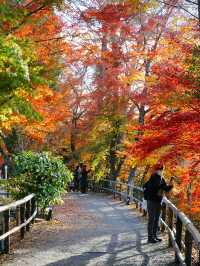 京都景點｜北野天滿宮