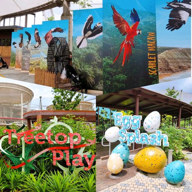 Tips for Visiting Bird Paradise