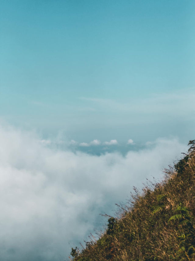 ดอยอินทนนท์ ⛰️🌲🌳🌱