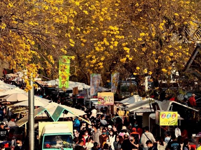 「嘉義八掌溪黃金風鈴花」春天賞花，散步的最佳去處，花期10-14天