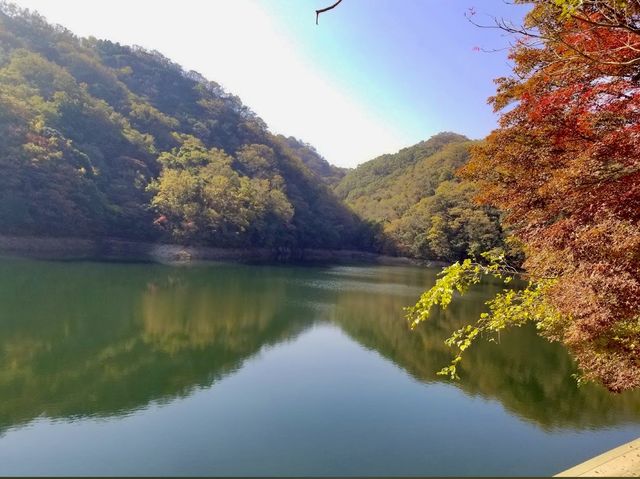 Fall in Nunobiki Park