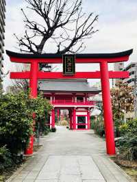 【成子天神社/東京都】現代の環境の中で共存している神社
