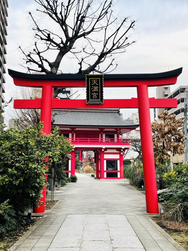 【成子天神社/東京都】現代の環境の中で共存している神社