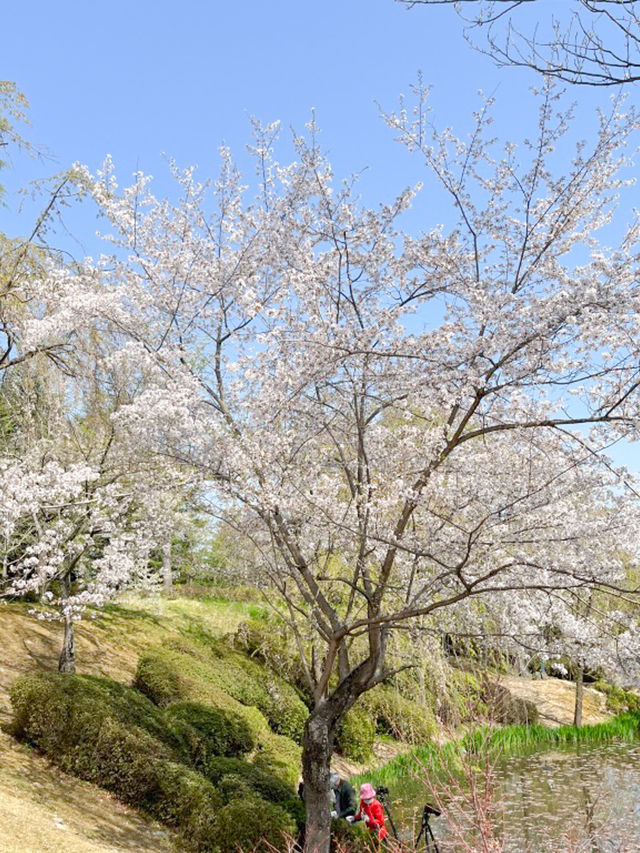 보문호수랑 또 다른 매력을 가진 경주 숨은 여행지🤫