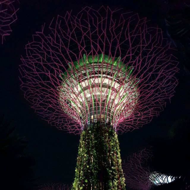 Gardens by the Bay