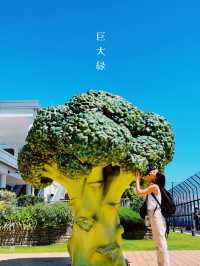 巨大緑🥦から目が離せない