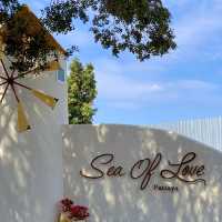 Sea Of Love Pattaya