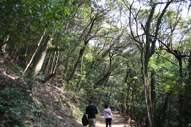 【都ホテル 岐阜長良川】ホテルスタッフおすすめ観光コース「ぎふ旅巡り」vol.03『アクティブ旅コース』