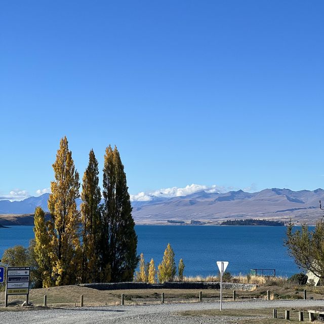 紐西蘭🇳🇿蒂卡波湖 自己稱之為少女湖💖