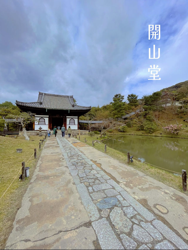 必見の雅な枝垂れ桜🌸ねねのお寺を満喫しよう🥰🌸