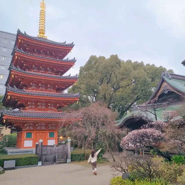 후쿠오카 도심 속 사찰 절 도초지🇯🇵