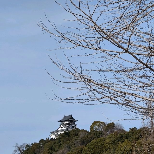 犬山遊