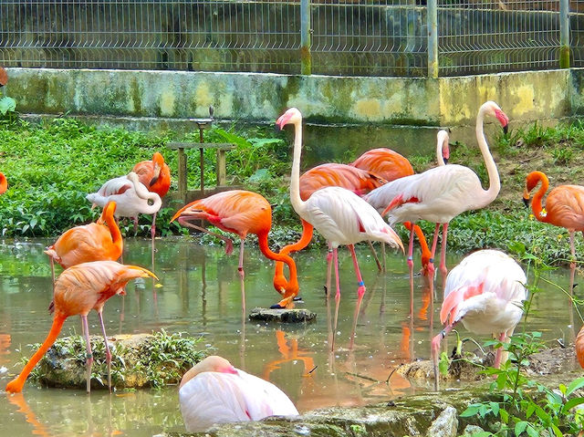 National Zoo of Malaysia