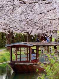 一度は乗りたい🚣‍♀️伏見十石舟☺️🌸🚣‍♀️
