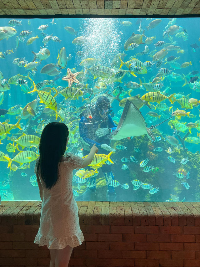 실내 아쿠아리움에서 데이트 가능🐠💙
