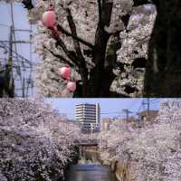 Shakuji river