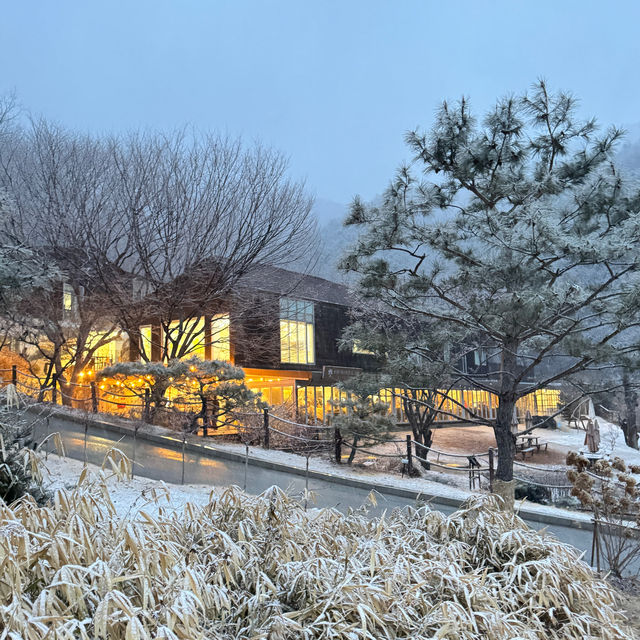 강원 홍천 힐리언스 선마을 리조트에서 디지털 디톡스 체험