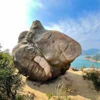 麥裏芝自然小徑：海濱徒步