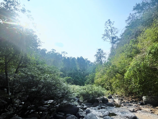 Khao Yai national park 🇹🇭🌳