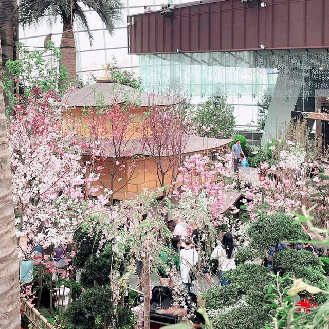  The magic of spring arrives in GBTB! 🌸🌺