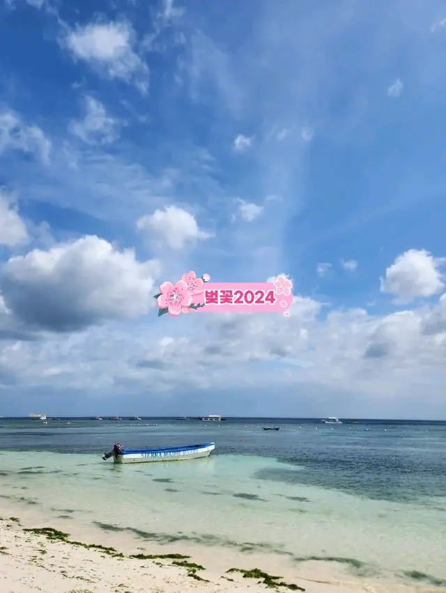 坐在那裡就能得到治癒的地方，「薄荷島阿羅納海灘」