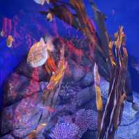 SEA LIFE Bangkok Ocean World