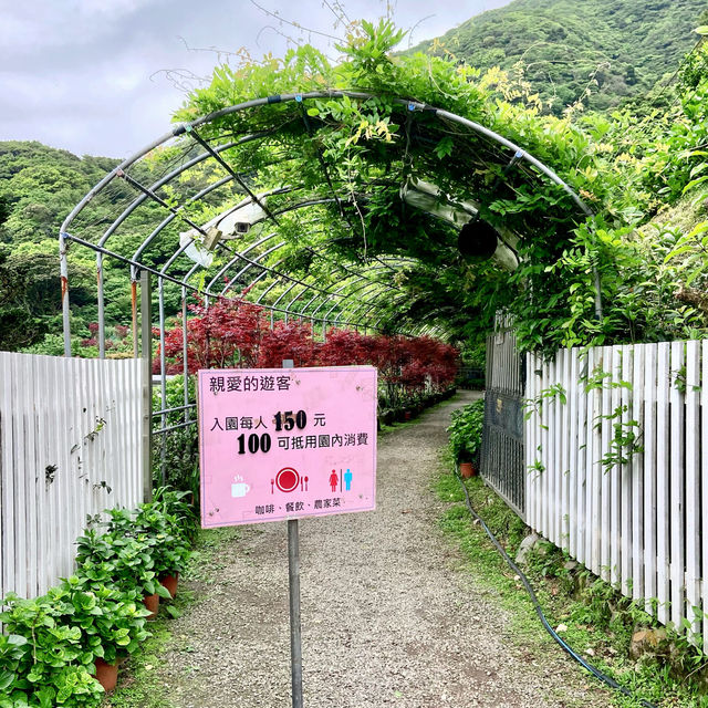 台北· 大梯田花卉生態農園