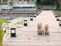 คาเฟ่สุดสวยสไตล์ยุโรปแห่งเมืองนครนายก