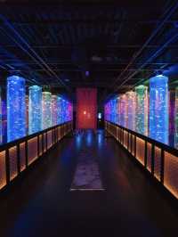 【東京】雨の日だって初夏を楽しめる✨藤×紫陽花×金魚のアートな世界を体験😍※スマホ撮影テク付 