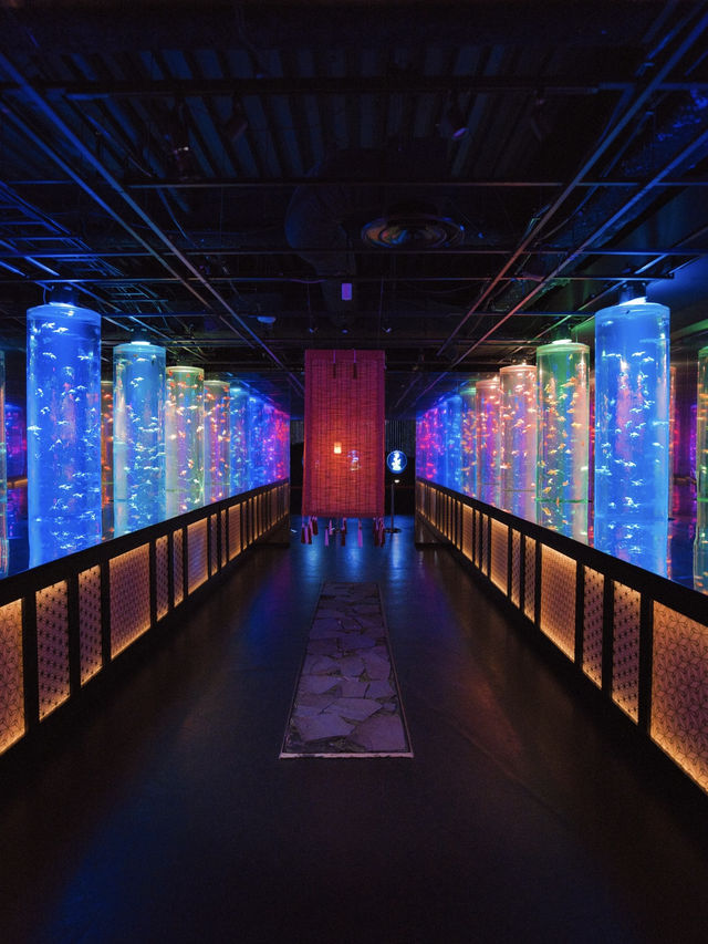 【東京】雨の日だって初夏を楽しめる✨藤×紫陽花×金魚のアートな世界を体験😍※スマホ撮影テク付 