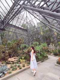 💚深圳仙湖植物園打卡攻略🌟