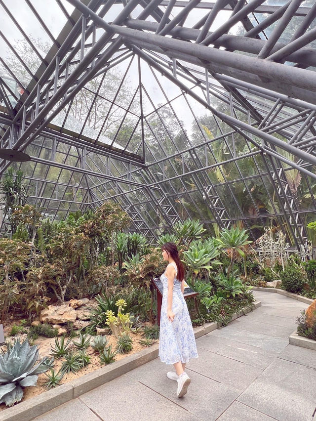 💚深圳仙湖植物園打卡攻略🌟