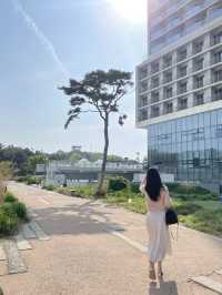 비행기를 5분마다 볼 수 있는 곳 ✈️💖