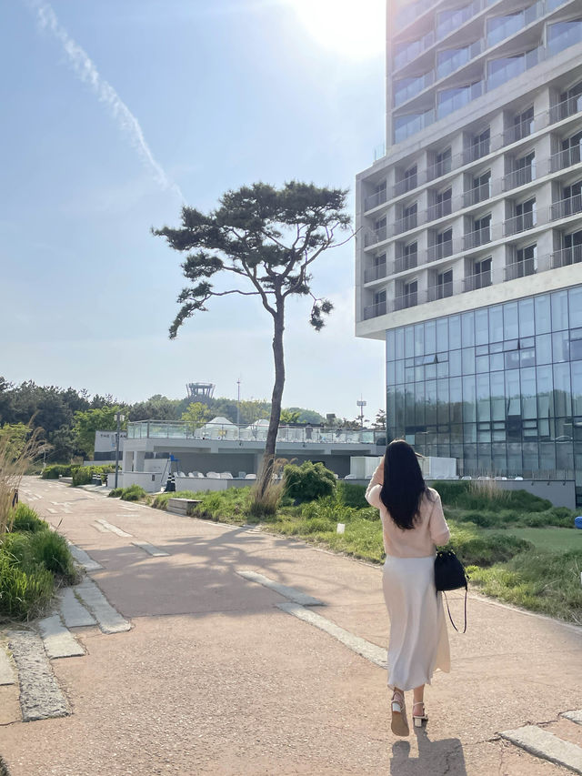 비행기를 5분마다 볼 수 있는 곳 ✈️💖