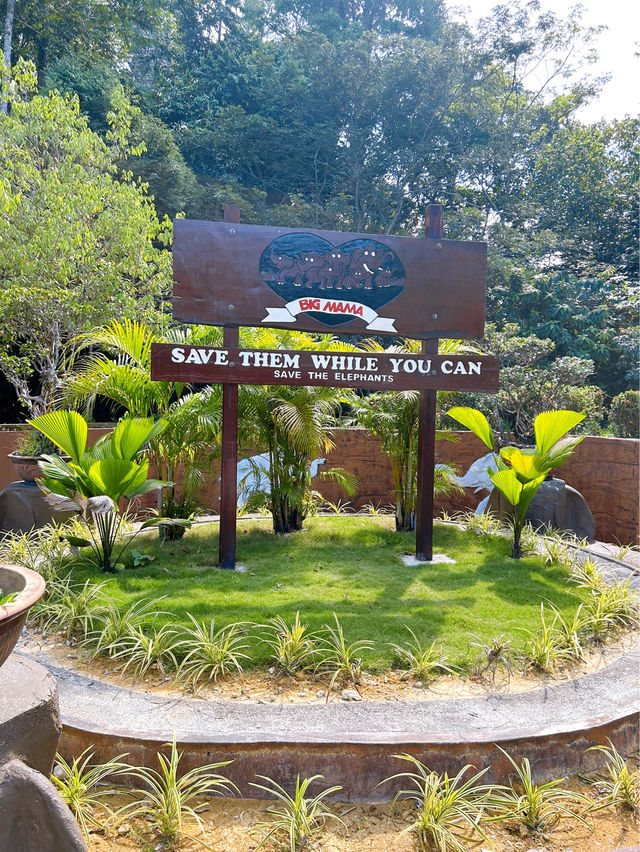 National Elephant Conservation Centre Kuala Gandah