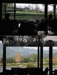 Pirom Cafe เขาใหญ่ พร้อมเสิร์ฟรับฤดูร้อน 