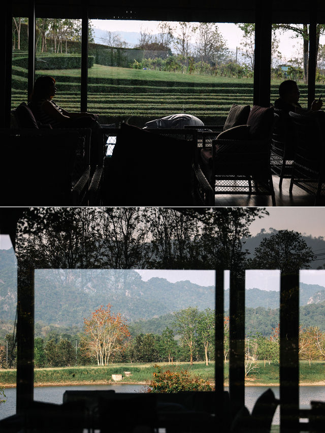 Pirom Cafe เขาใหญ่ พร้อมเสิร์ฟรับฤดูร้อน 