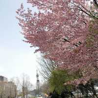 park is spacious in heart of city