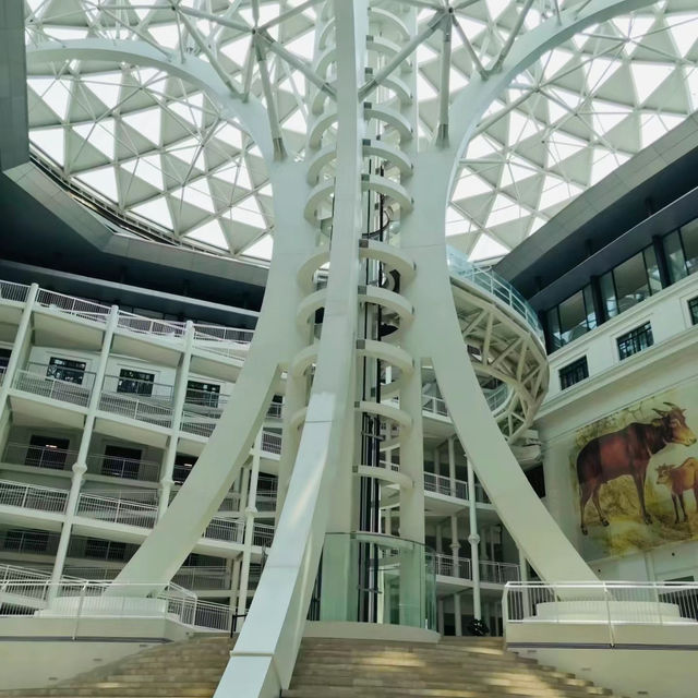 新加坡藝術博物館：獨特建築，必游景點