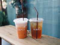  Ribple - ริบเพิล 🍵 