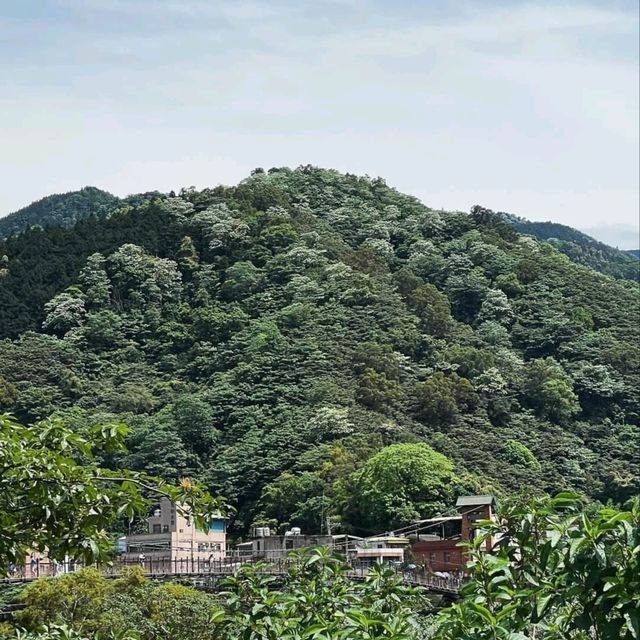 獅頭山步道