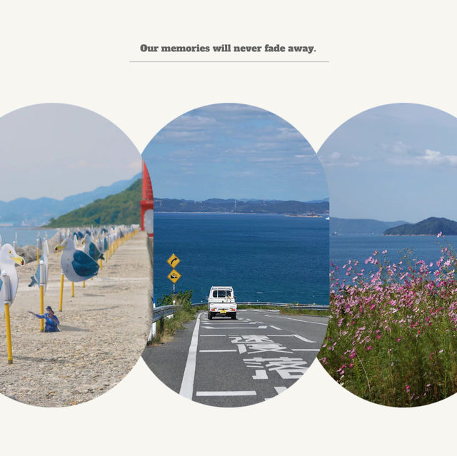 圓月島：壯闊海景，難忘旅行回憶